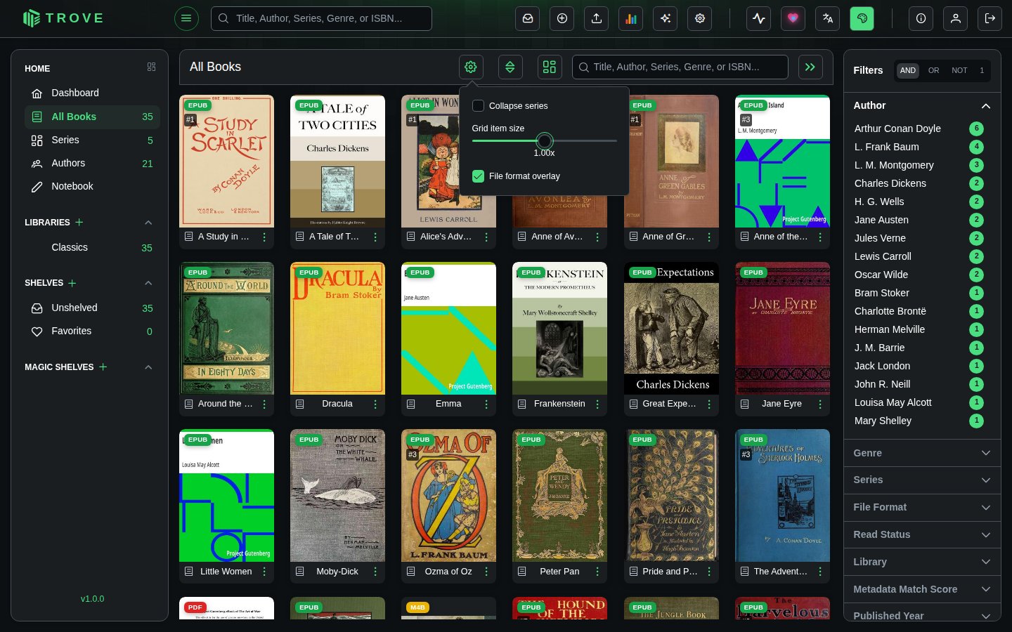The display settings: collapse series, grid item size and file format overlay