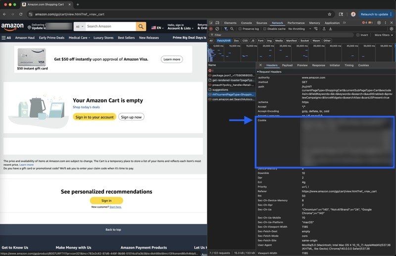 Accessing Amazon cookies in browser developer tools